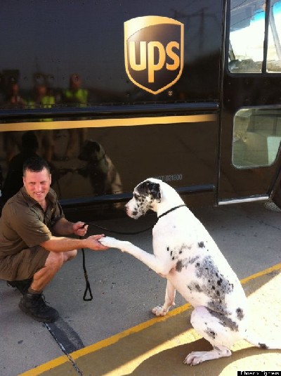 Phoenix's mission, according to his Facebook page, is to continue raising money for doggies that are in need!